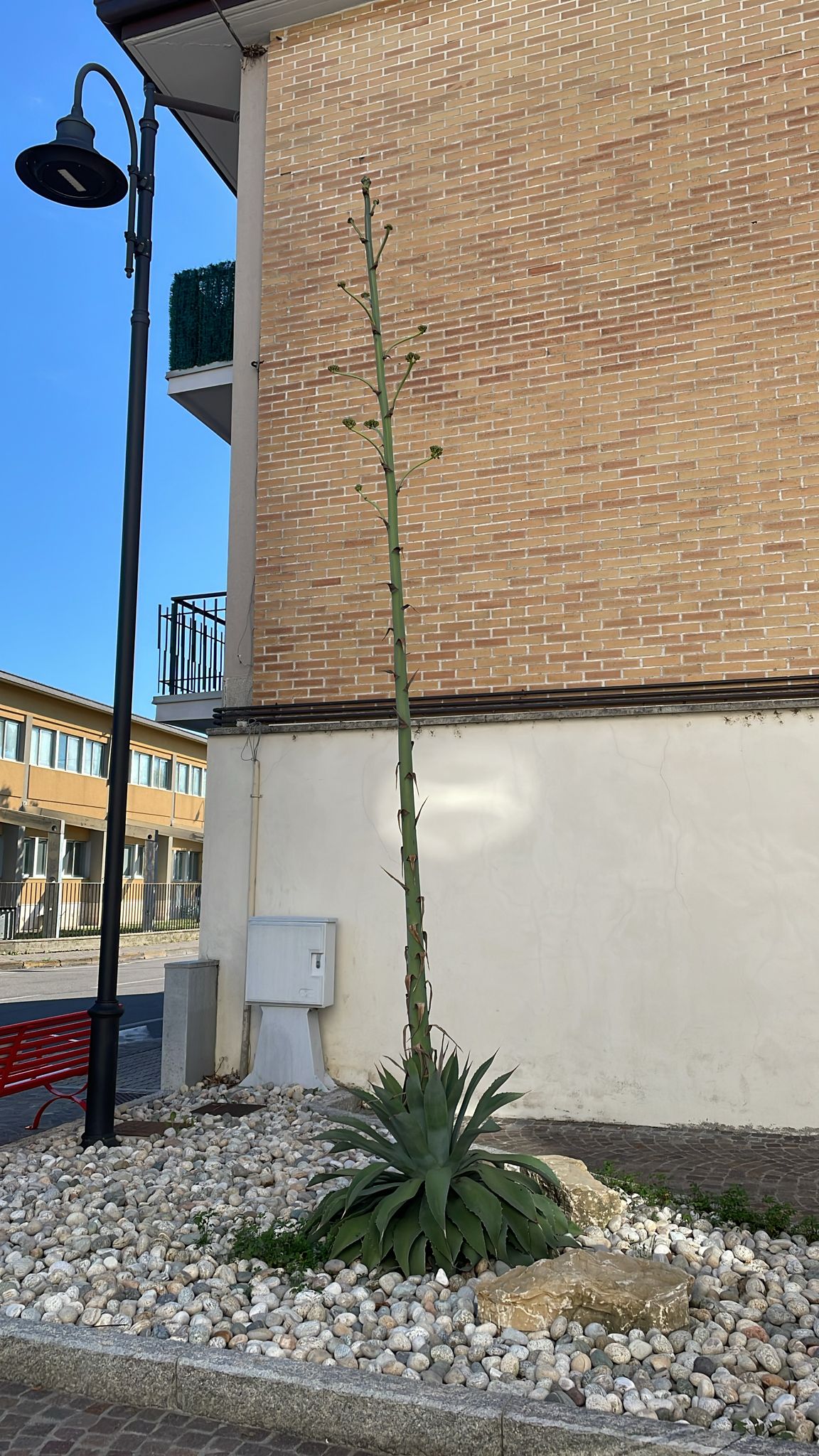 Immagine della segnalazione